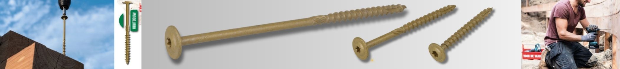 Dynaplus houtbouwschroef +snijpunt AR-coating tellerkop TX Dynaplus houtbouwschroef +snijpunt AR-coating tellerkop TX